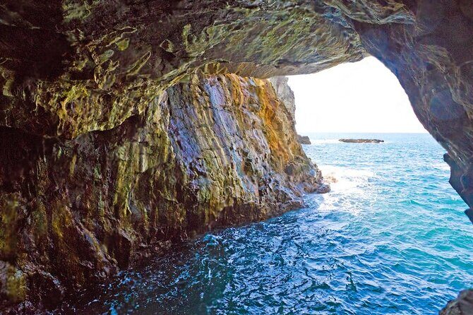 Nachi Waterfall, Mount Koya & Wakayama Tour with Two Options - A Detailed Look at What to Expect