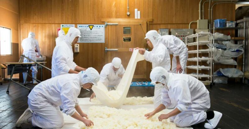 Nada Sake Breweries Kobe Private Tour with Licensed Guide - Key Points