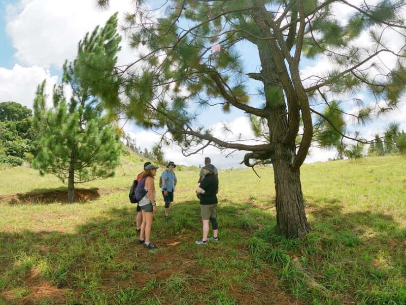 Nadi: Hidden Peaks Small Group Hiking Adventure - Final Thoughts