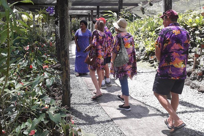 Nadi Sightseeing Including Viseisei Lookout, Village Tour, Garden & Temple Tour - A Detailed Look at the Nadi Sightseeing Tour