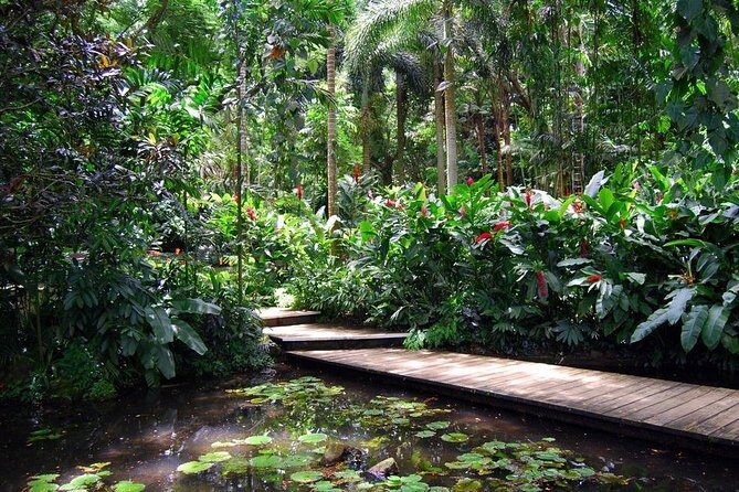 Nadi Sightseeing Including Viseisei Lookout, Village Tour, Garden & Temple Tour - Who Should Consider This Tour?