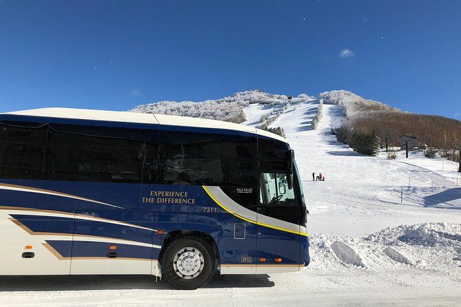 Naeba Express Bus - From/To Narita Airport and Tokyo Station - Experience the Convenience of the Naeba Express Bus – From Narita Airport and Tokyo Station