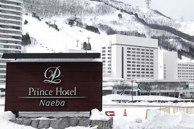 Naeba Express Bus - From/To Narita Airport and Tokyo Station - Key Points