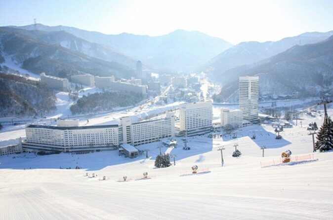Naeba Express Bus - From/To Narita Airport and Tokyo Station - The Value of the Naeba Express Bus