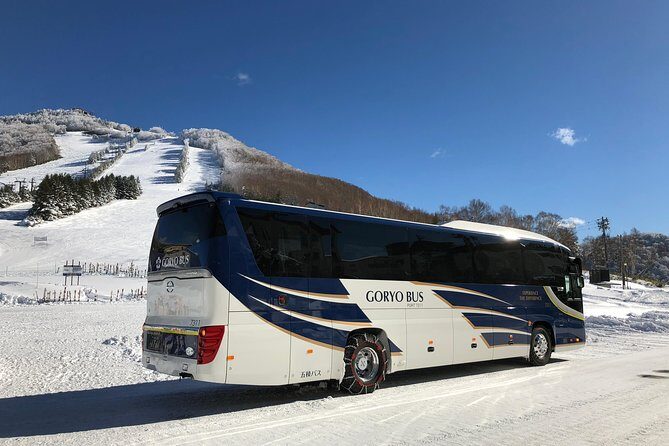 Naeba Express Bus - From/To Narita Airport and Tokyo Station - Who Is This Transfer Best For?