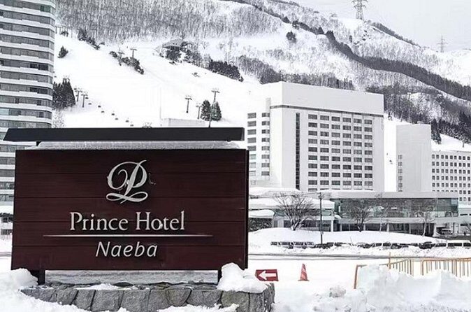 Naeba Express Bus - From/To Narita Airport and Tokyo Station - Final Thoughts