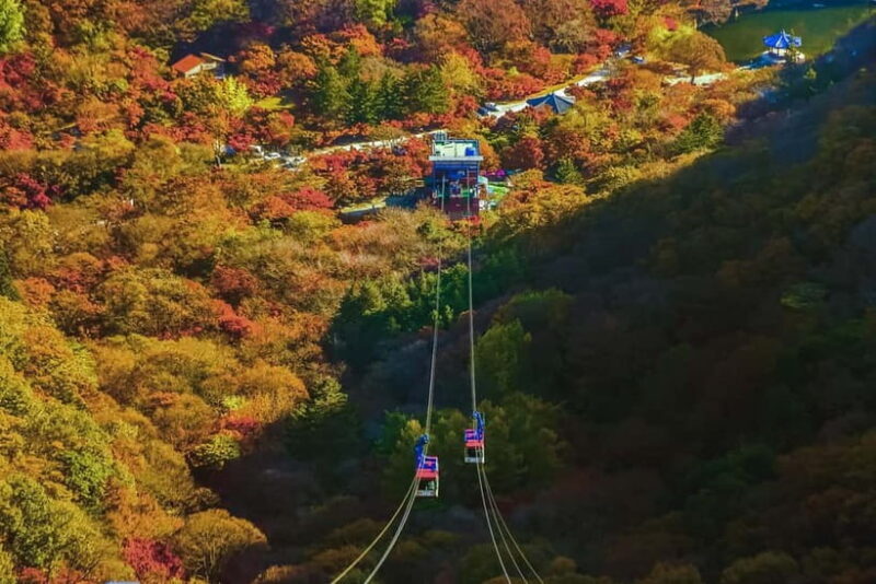 Naejangsan: Highlight of a Korean Autumn Day Trip from Busan - What to Expect