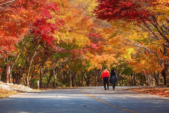 Naejangsan National Park Autumn Foliage One Day Tour from Busan - Frequently Asked Questions