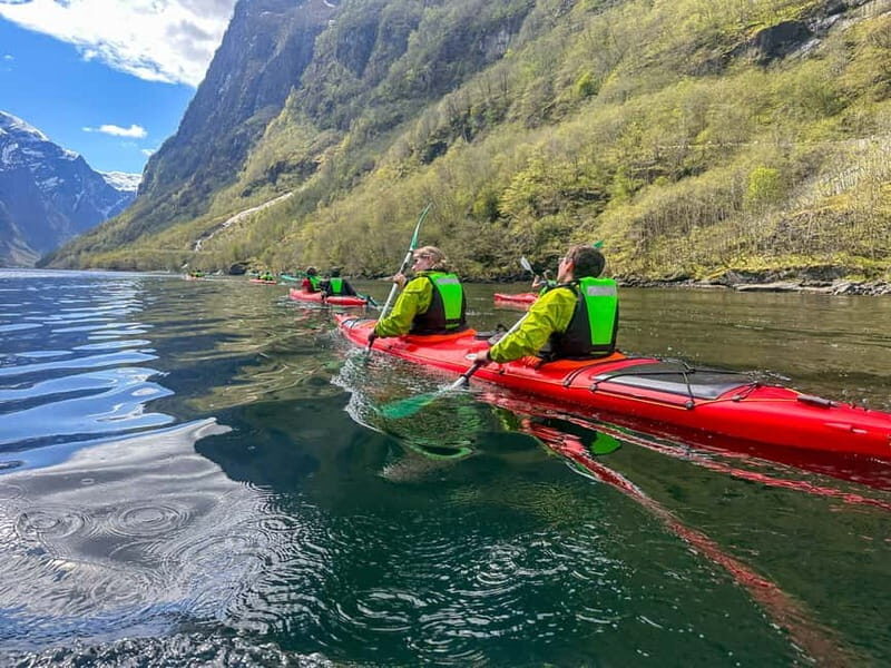 Nærøyfjord Full-Day Guided Kayaking Trip - Price and Value
