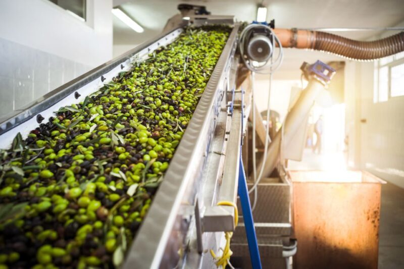 Nafplion: Olive Oil Tasting and Visit to Ancient Epidavros - Frequently Asked Questions