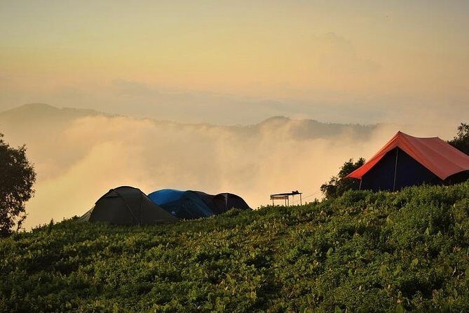 Nag Tibba 2 Days Trek (Pantwari to Pantwari) - An In-Depth Look at the Nag Tibba Experience
