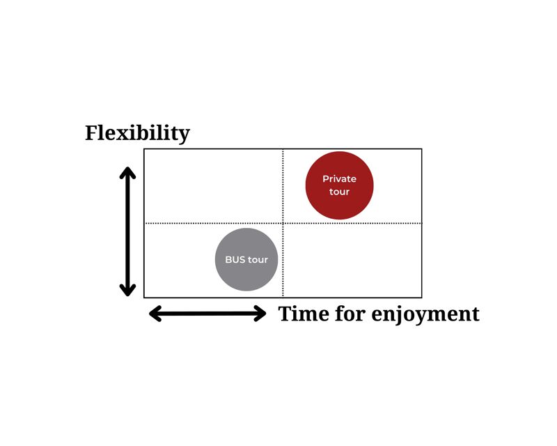 Nagano: Cute & Eccentric Snow Monkeys Half-Day Private Tour - The Sum Up: Who Should Book This Tour?