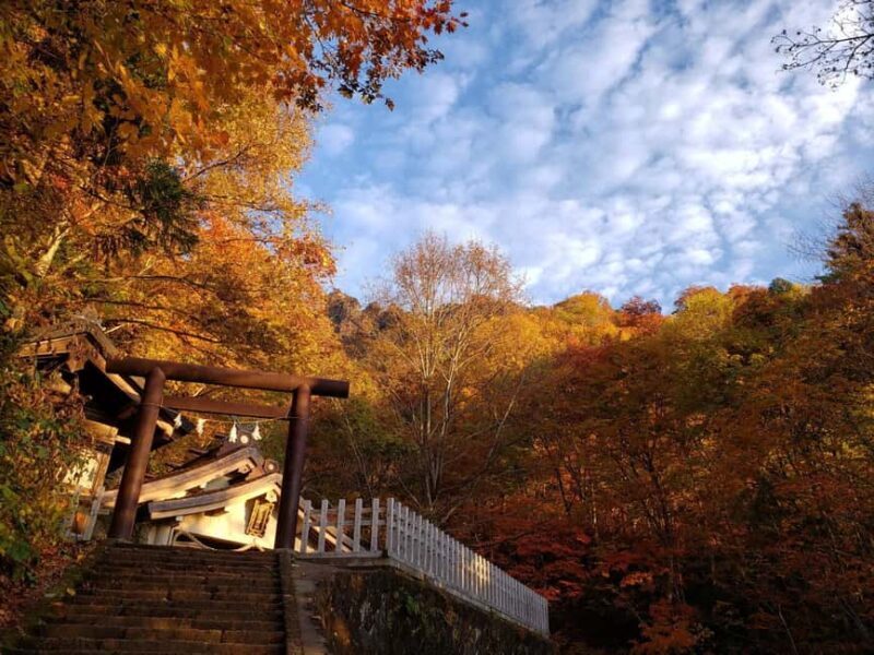 Nagano: Half-Day Private Tour Togakushi Shrine - Authenticity and Value