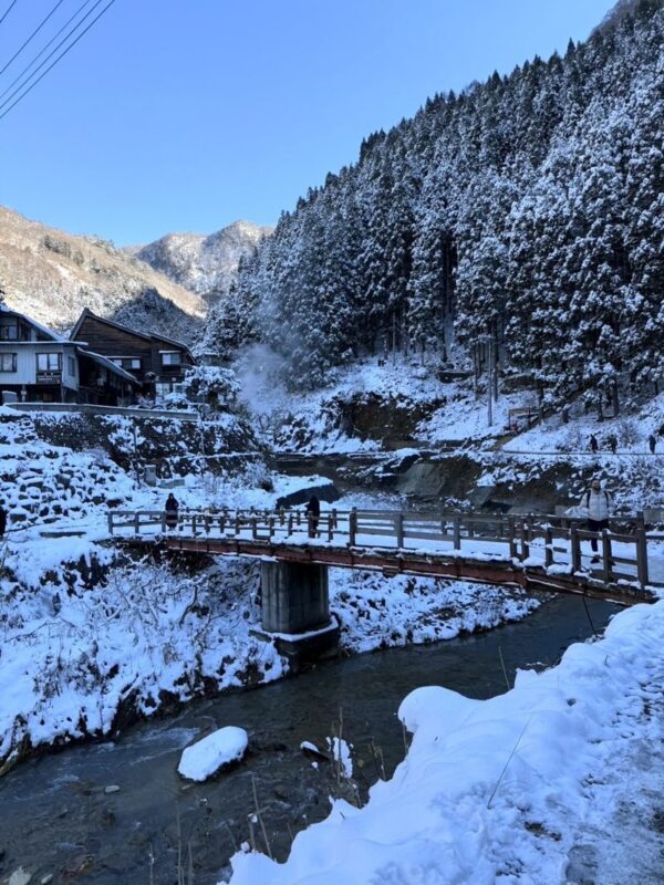 Nagano Jigokudani Monkey Park, Togakushi Shrine, Zenkoji Temple & Sake Culture Experience Day Tour (Departing from Nagano) - What the schedule feels like in practice