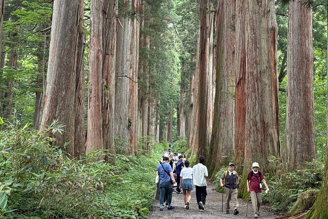Nagano Private Tour: Ninja Temple, Soba Making & Sake Tasting - Key Points