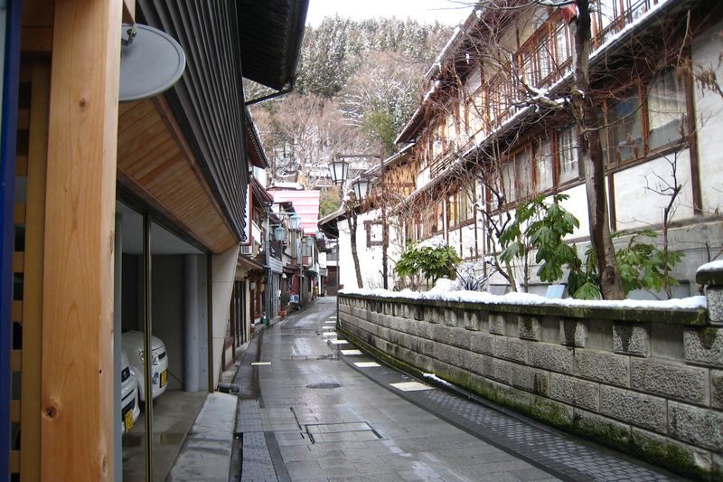 Nagano Snow Monkey Park & Shibu Onsen Cultural Tour - The monkeys are the headline, not a guaranteed pose