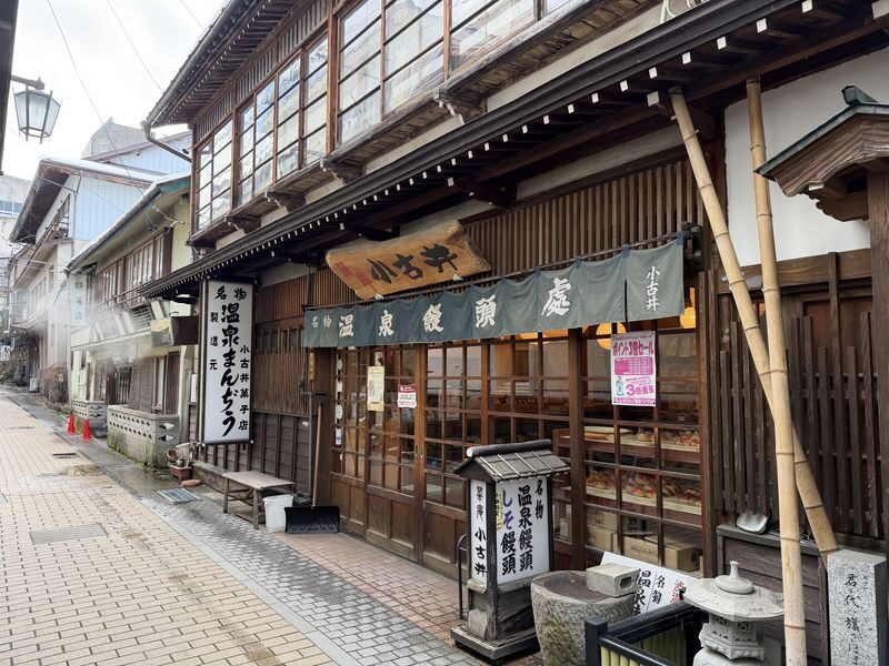 Nagano Snow Monkey Park & Shibu Onsen Cultural Tour - Shibu Onsen makes the trip more than a wildlife stop