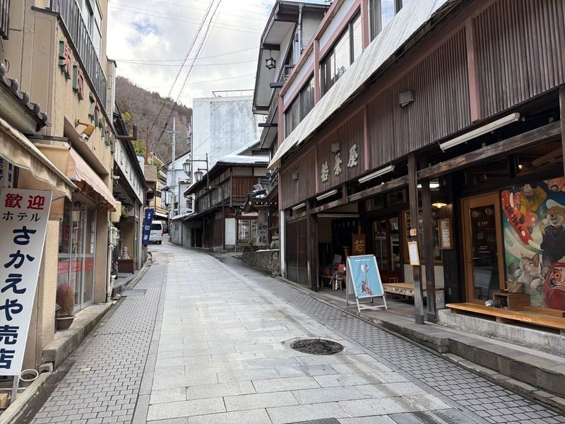 Nagano Snow Monkey Park & Shibu Onsen Cultural Tour - A guide can turn the drive into part of the visit