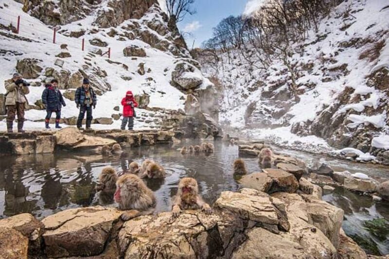 Nagano: Snow Monkeys, Zenko-ji Temple, and Lake Nojiri Tour - Final Thoughts: Who Will Love This Tour?