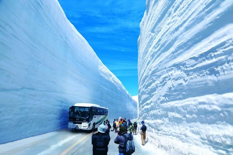 Nagano Snow Wall Alpine Route Guided Tour - The day’s highlights at a glance