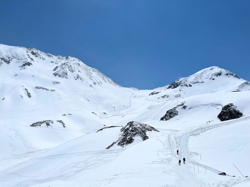 Nagano Snow Wall Alpine Route Guided Tour - Back down the same route