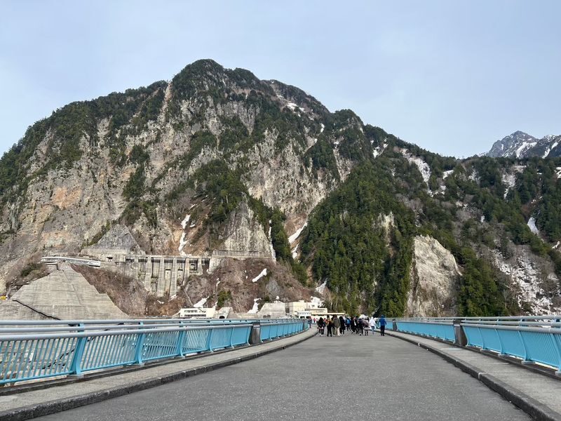 Nagano Snow Wall Alpine Route Guided Tour - Who should take this tour