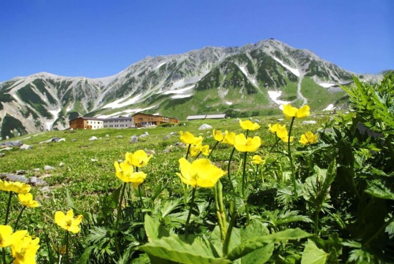 Nagano: Tateyama-Kurobe Guided Walking Tour - Who Should Consider This Tour?