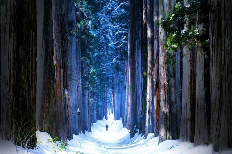 Nagano: Togakushi Shrine & Jigokudani Snow Monkey Park Trip - Discover Nagano’s Sacred and Natural Wonders in a Single Day