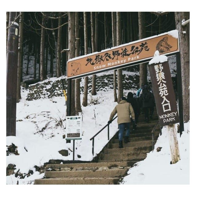 Nagano/Tokyo: Snow Monkey Private Day Tour At Lowest Rate - Key Points