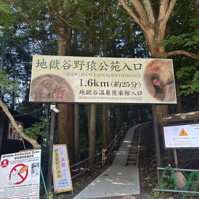 Nagano/Tokyo: Snow Monkey Private Day Tour At Lowest Rate - Exploring Nagano: A Deep Dive into the Tour Experience