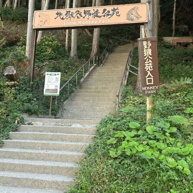 Nagano/Tokyo: Snow Monkey Private Day Tour At Lowest Rate - Pricing and Value