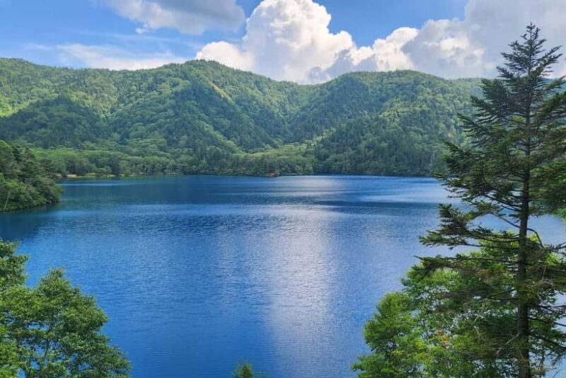Nagano UNESCO Park: Emerald Acid Lake & Ghibli Onsen Town - A Closer Look at the Tour Experience