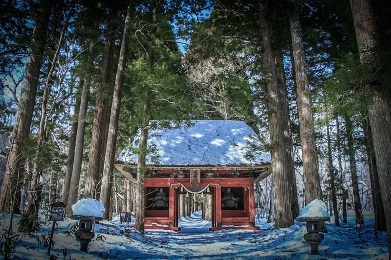 Nagano Winter Private Tour with a local guide (from November to May) - A short park visit or a day of shrines