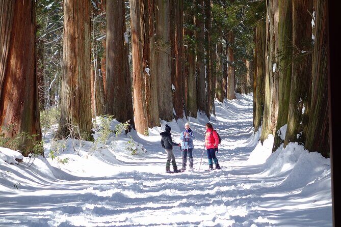 Nagano Winter Special Tour "Snow Monkey and Snowshoe Hiking"!! - Key Points