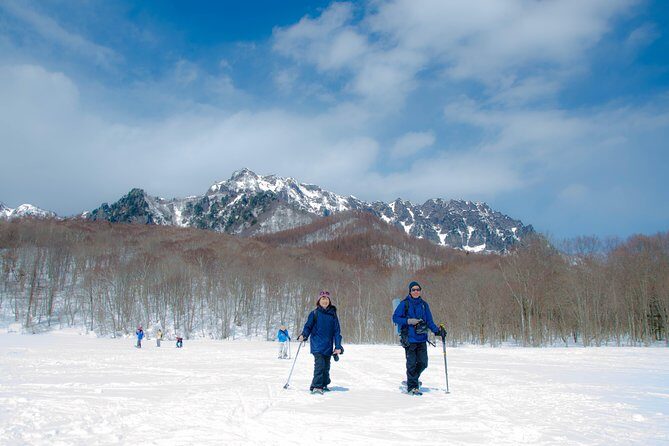Nagano Winter Special Tour "Snow Monkey and Snowshoe Hiking"!! - What Travelers Say: Authentic Experiences and Joyful Memories