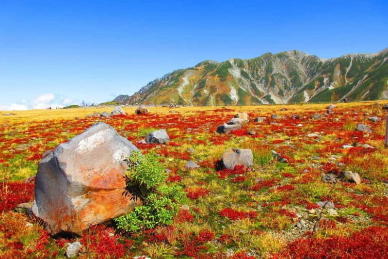 Nagano: Worlds Edge Tateyama Kurobe Alpine Route Tour - Key Points