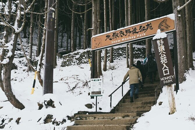 Naganos Snow Monkeys and Sake Tasting Day Tour - A Deep Dive into the Nagano Day Tour