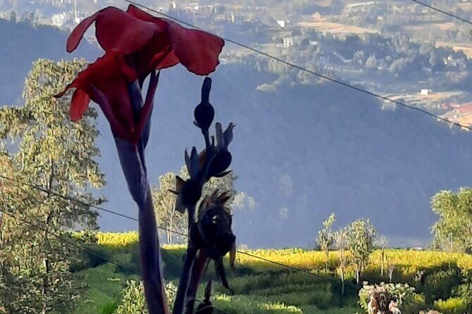Nagarkot (2175m) Sunrise and Day Hike to Changunarayan Temple - A Detailed Look at the Tour Experience