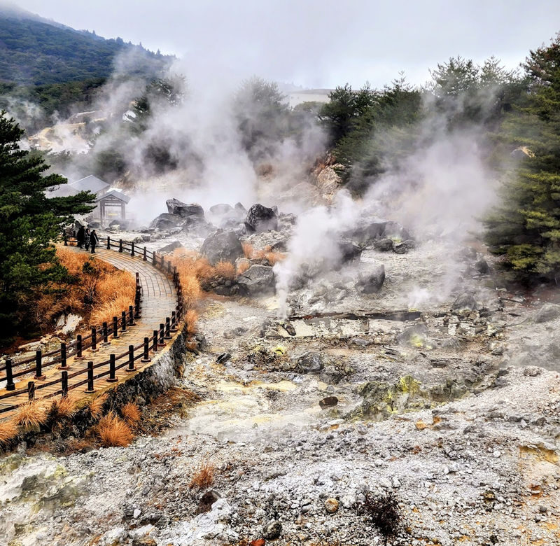 Nagasaki City Private Car Charter & City Day Tour - Driver support is practical, but not a guide service
