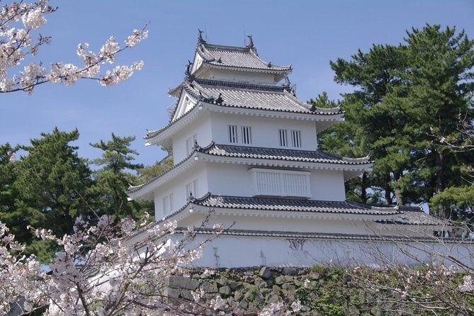 Nagasaki City to Nagasaki International Airport Private Departure Transfer - The Experience: What to Expect on the Day