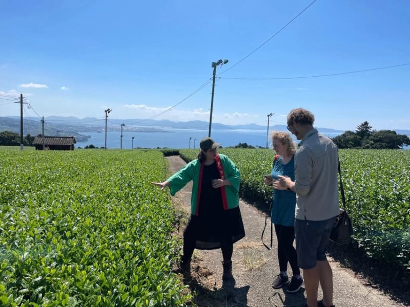 Nagasaki: Explore Japanese Teas on a Tea Tour - A Deep Dive into Nagasaki’s Unique Tea Heritage