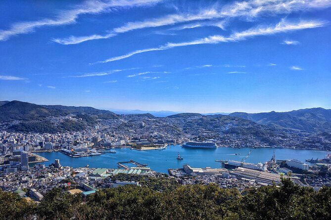 Nagasaki Highlights Private Full Day Tour by Car - Who Should Consider This Tour?