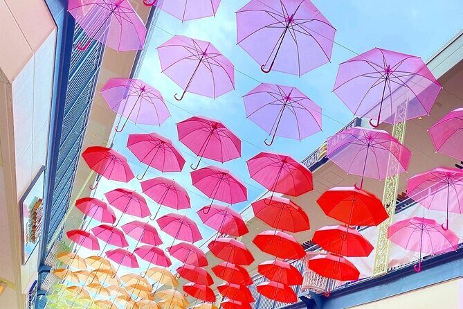 Nagashima Mitsui Park and Nagashima Hot Spring One Day Tour - An In-Depth Look at the Experience