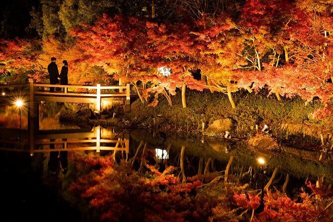 Nagashima Mitsui Park and Nagashima Hot Spring One Day Tour - Who Will Love This Tour?