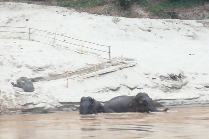 Nagi of Mekong cruise - Who Should Consider This Tour?