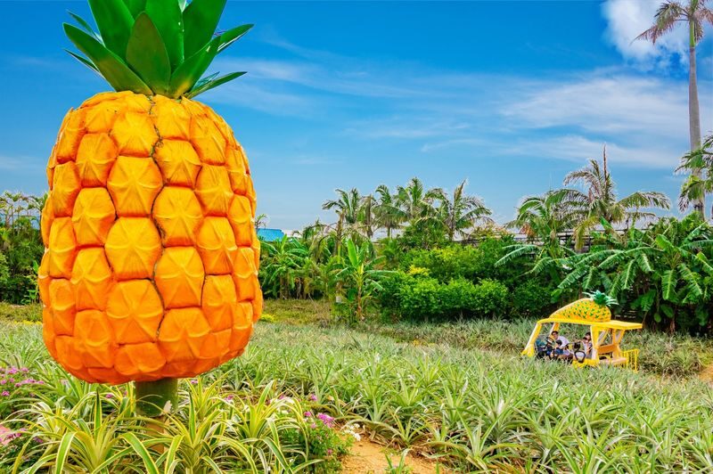 Nago Pineapple Park Ticket in Okinawa - Start with the pineapple cart