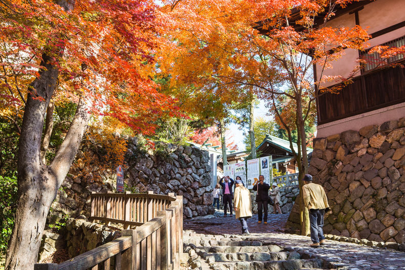 Nagoya 4 Historical Sites Full-Day Tour with Edo Charm - The fourth site and the value of a guided day