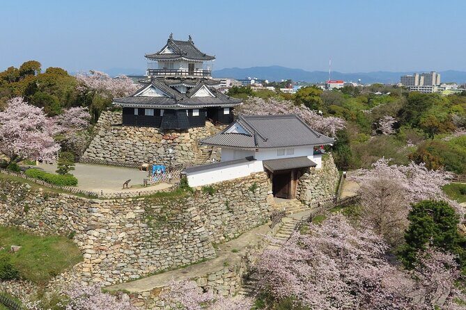 Nagoya Airport to Hamamatsu Shizuoka Japan Private Transfer - Key Points