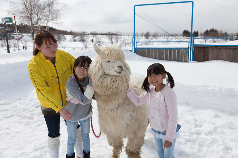 Nagoya Bokka no Sato Full-Day Family Adventure with Hot Springs - The hot spring is more than an add-on