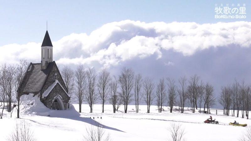 Nagoya Bokuka no Sato & Gujo Hachiman Day Trip (including hot spring experience) - At a glance